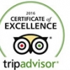 Trip advisor
