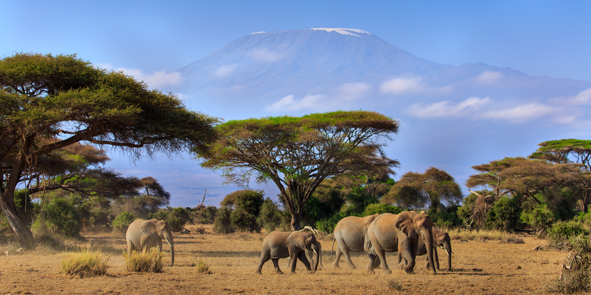 Kilimanjaro National Park.