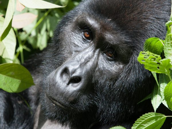 uganda-0078 (1) (1)